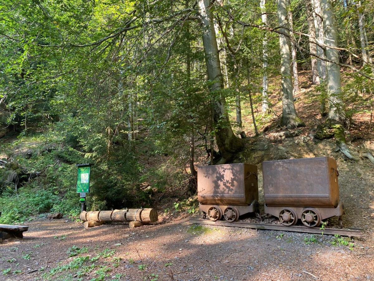 Vila 66 - Cista V Krkonosich Černý Důl Extérieur photo