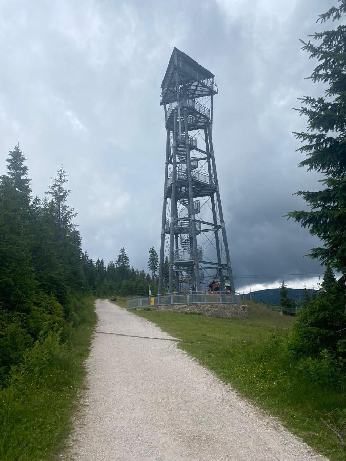Vila 66 - Cista V Krkonosich Černý Důl Extérieur photo
