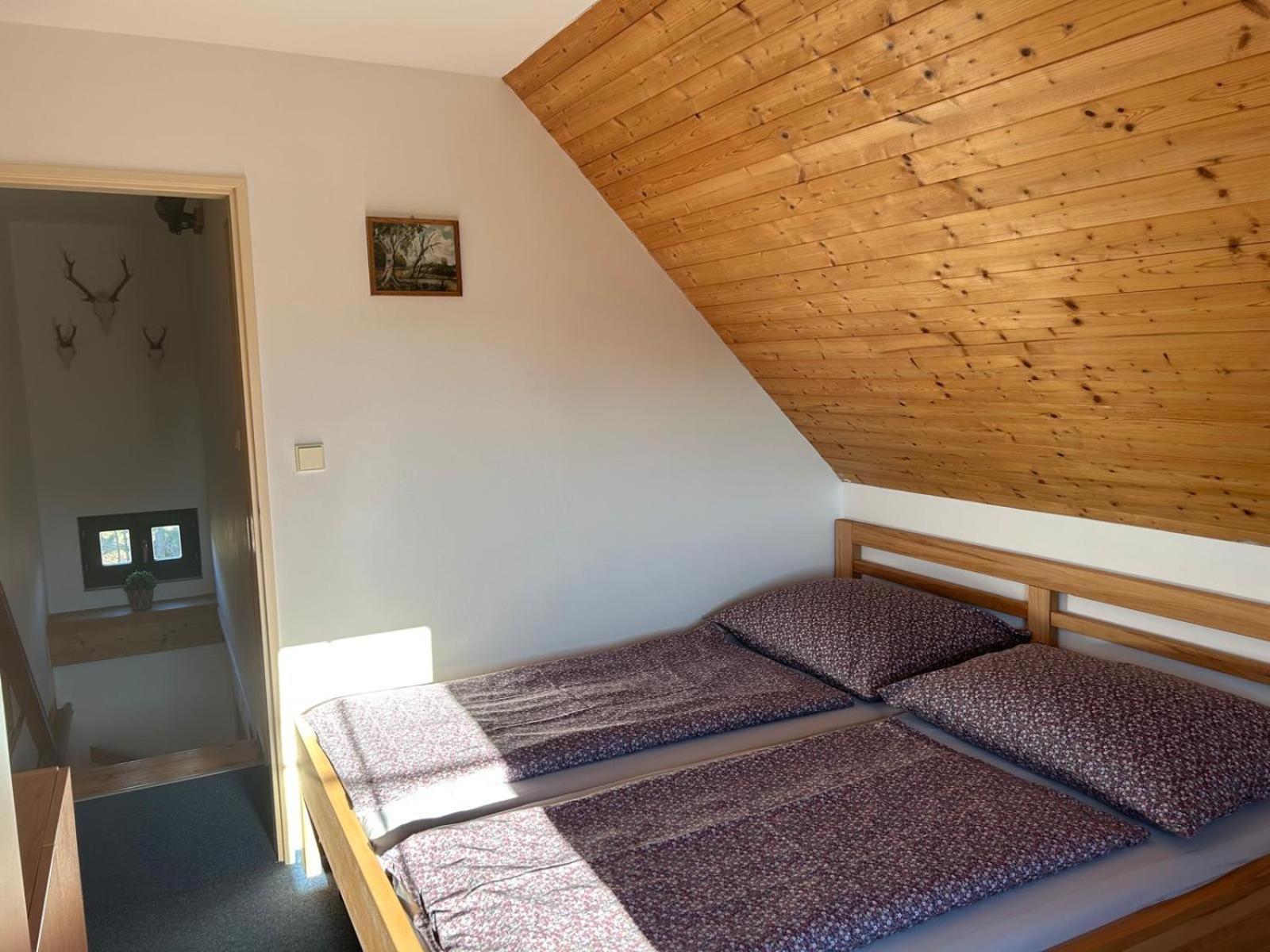 Vila 66 - Cista V Krkonosich Černý Důl Extérieur photo
